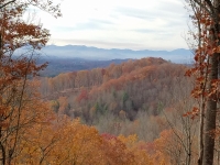 Fall Foliage at Mountain Meadows