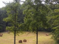 hay bales in front porch neighborhood