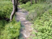 crooked-creek-in-the-flow