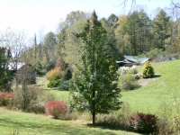 farm in spring