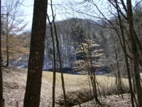 lot-13-looking-east-over-meadow