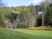 lot-19b-view-over-pasture