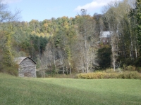 lot-19b-view-over-pasture