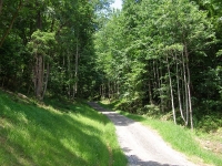 Lot 7 looking up the lane