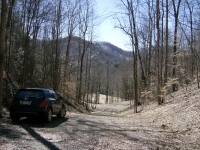 lot-7-winter-view-looking-down-the-lane