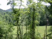 lot-14a-view-in-front-porch-neighborhood