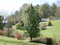 mountain-meadows-farm-in-the-spring