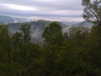 top-of-foggy-mountain