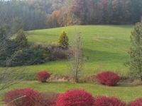 view-of-mm-farms-meadow-from-road